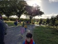 IMG_20211004_100733