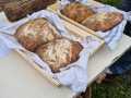 IMG-20241129-WA0011
