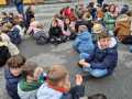 IMG-20241129-WA0025