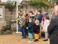 IMG-20231111-WA0006