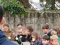 IMG-20231111-WA0013
