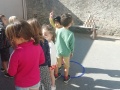 IMG_20220704_095722