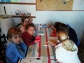 IMG_20200120_093502