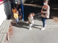 cantine-1