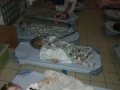 sieste-4