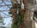 IMG_20220307_111308