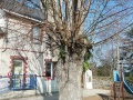IMG_20220307_111719