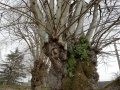 IMG_20220308_100024