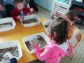 IMG_20220308_111014