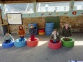 IMG_20220317_113457