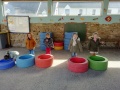 IMG_20220317_113508