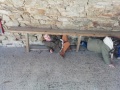 IMG_20220317_113700