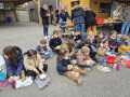 IMG-20250321-WA0015
