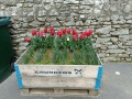 IMG20230411135211