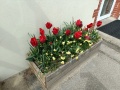 IMG20230411135353