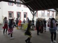 IMG_5252