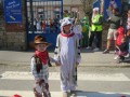 IMG_7887