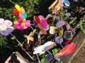 IMG-20240216-WA0011