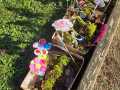 IMG-20240216-WA0012