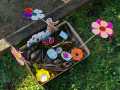 IMG-20240216-WA0013