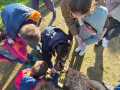IMG-20240216-WA0014