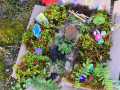 IMG-20240216-WA0039