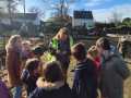 IMG-20240216-WA0040
