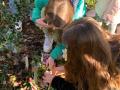 IMG-20240216-WA0065