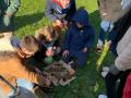 IMG-20240216-WA0072
