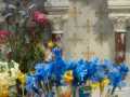 IMG-20250314-WA0027