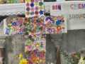 IMG-20250314-WA0031