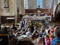 IMG-20250314-WA0037