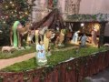 IMG_20211216_120610