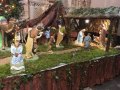 IMG_20211216_120727