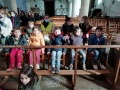 IMG_20220304_110222
