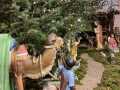 IMG-20231221-WA0005