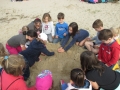 Le palandrin 023