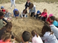 Le palandrin 024