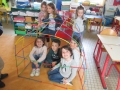 cage-piscine-011