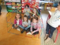 cage-piscine-012