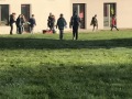 IMG_2138