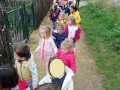 IMG_20200924_090808