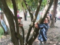 IMG20230612154847