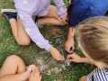 IMG-20230907-WA0021