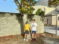 IMG20230905094548