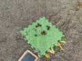 IMG-20231121-WA0007