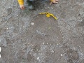IMG20231121154918