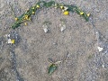 IMG20231121160304