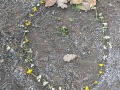 IMG20231121160426
