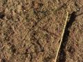 IMG-20230920-WA0014